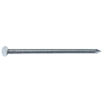 Steel cap common nails smooth shank